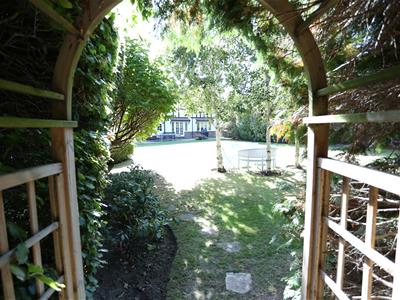 Picture 20